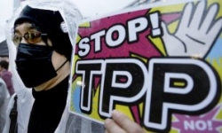 Más de 200 grupos de la sociedad civil nacional e internacional exigen a sus Ministros de Comercio Exterior no resucitar el TPP