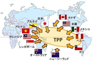 tpp-image